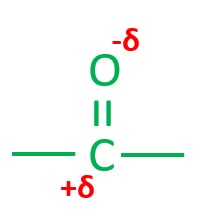 polarization of carbonyl group